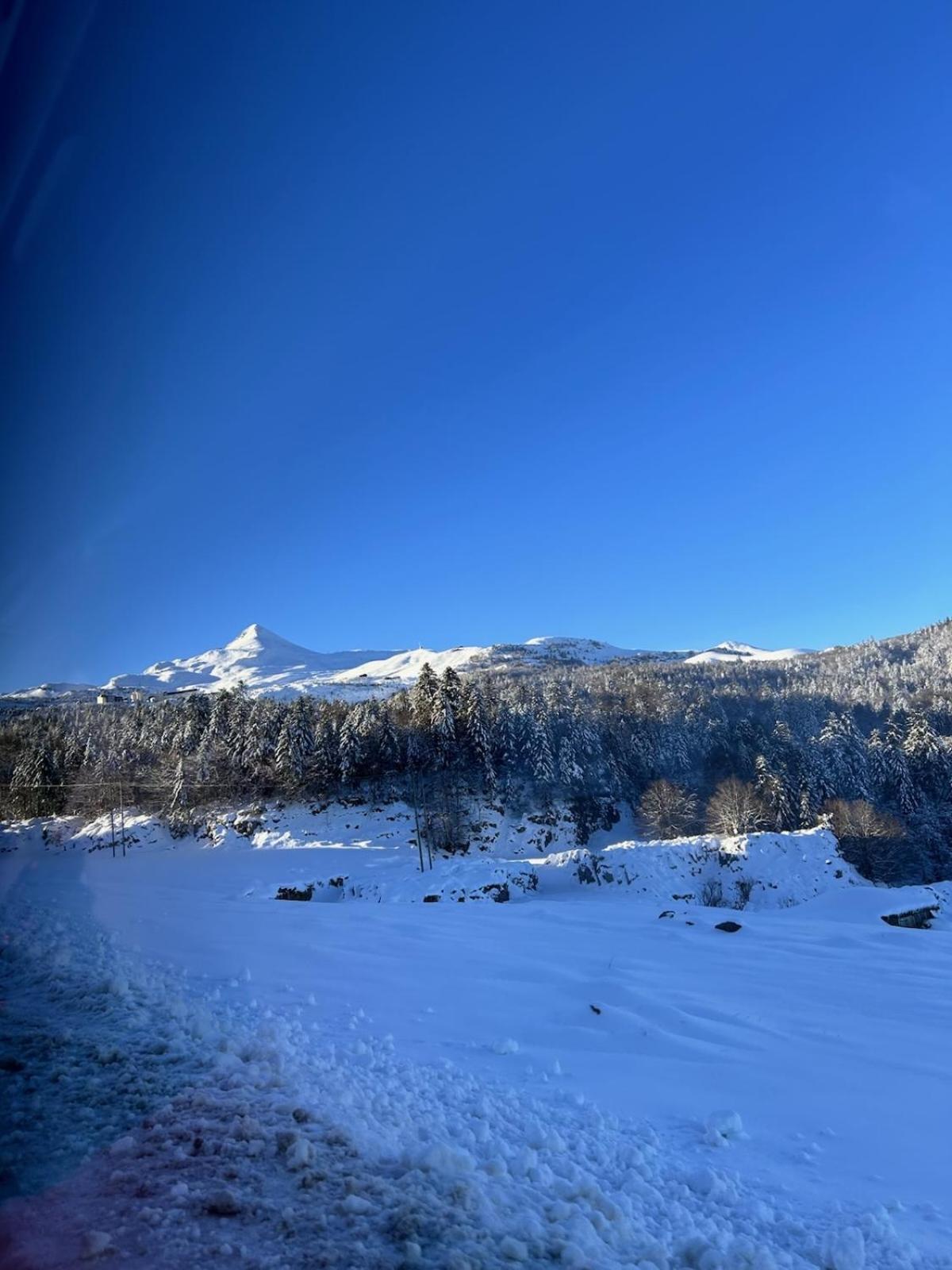 La Suite Unique - Le Jardin Sur Les Pyrenees- Vue Panoramique Montagne -Jardin Cloture Prive De 100M2-Parking-Linge De Lit Et Serviettes Compris- Bielle Exterior foto