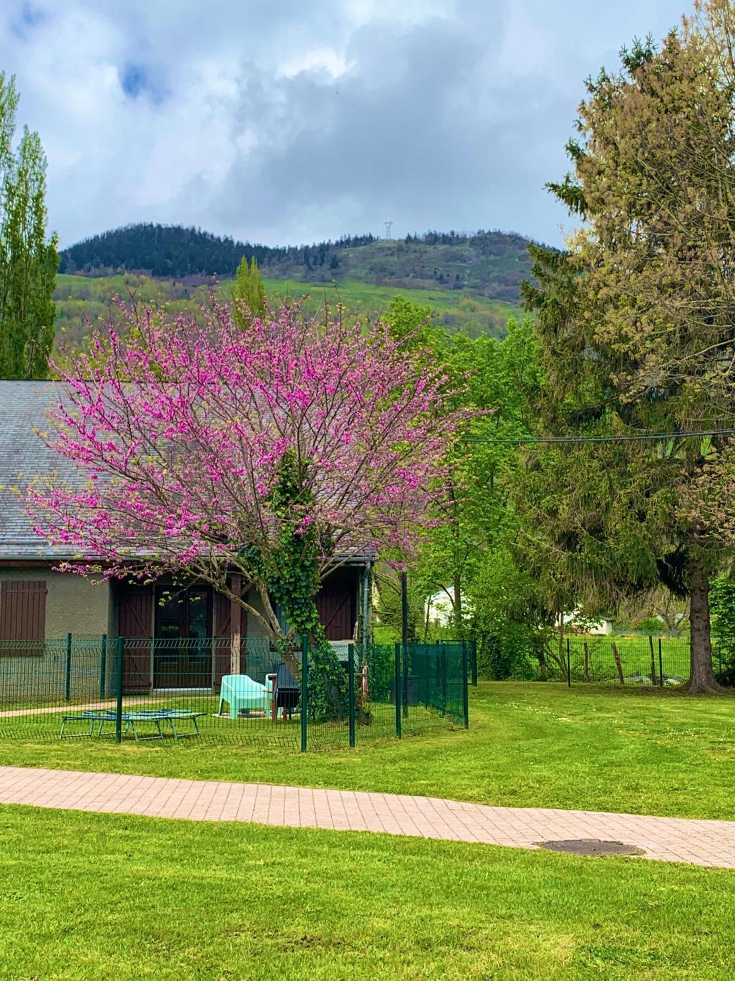 La Suite Unique - Le Jardin Sur Les Pyrenees- Vue Panoramique Montagne -Jardin Cloture Prive De 100M2-Parking-Linge De Lit Et Serviettes Compris- Bielle Exterior foto